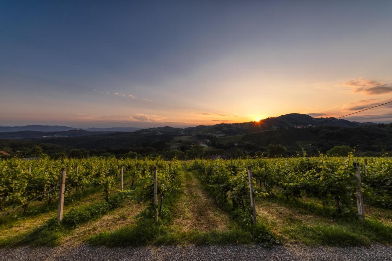 Weingut Reiterer Hotel Kitzeck im Sausal Exterior photo