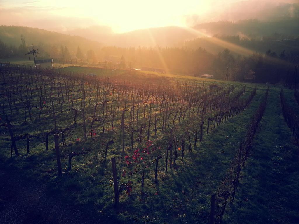 Weingut Reiterer Hotel Kitzeck im Sausal Exterior photo